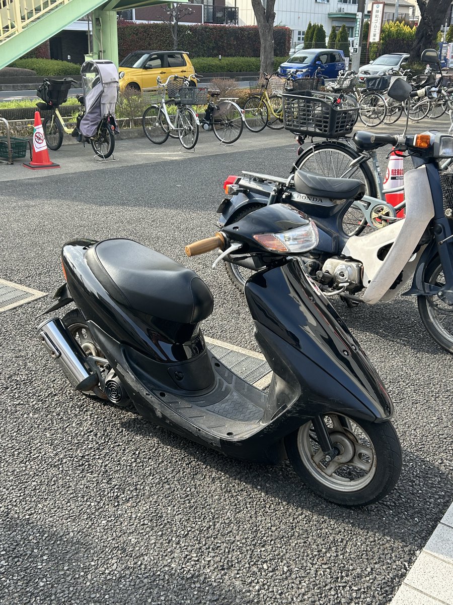 𝔗𝔒𝔐 tweet media