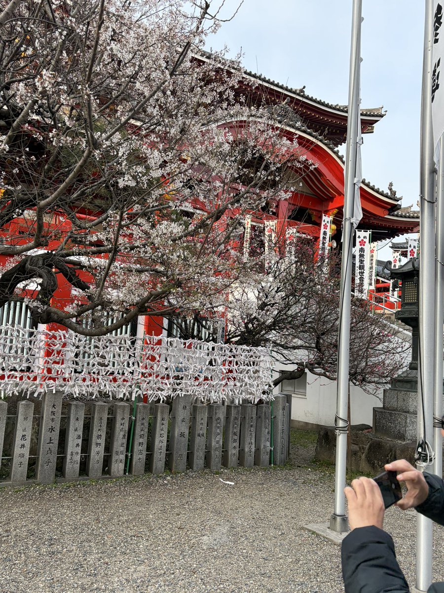 literackiodpad's tweet photo. Japonia jestem w tobie https://t.co/SkAqGgPxMv
