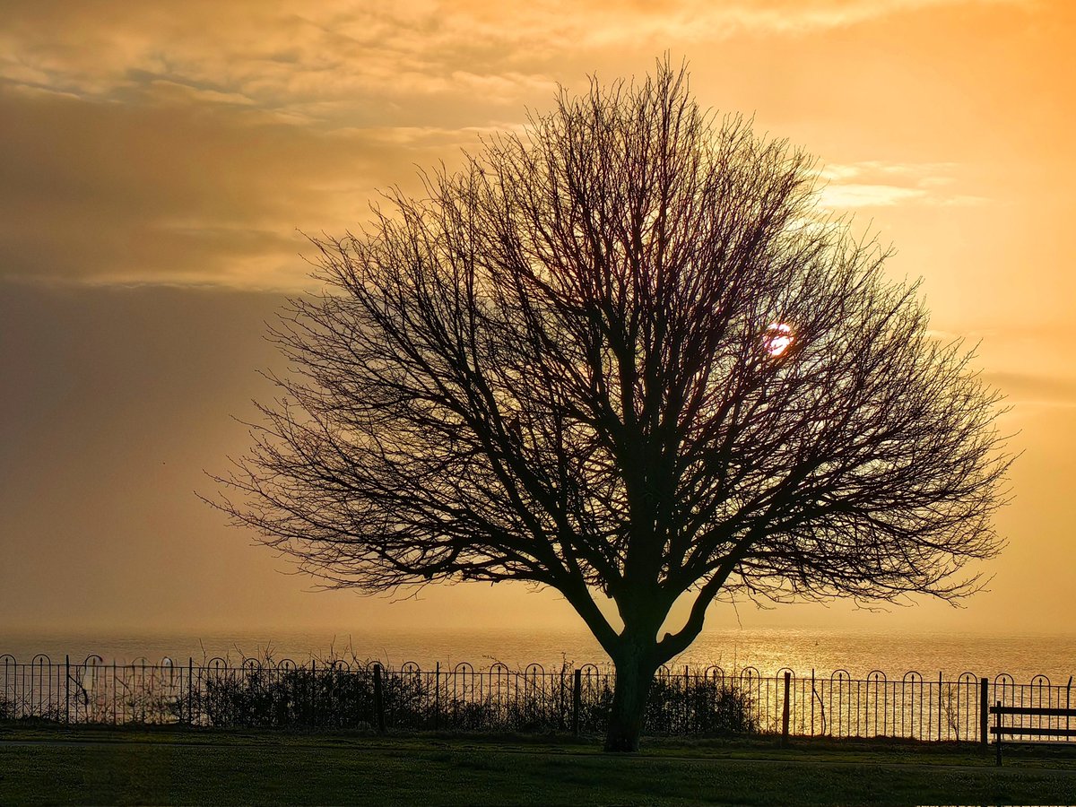 MandhariNadezna's tweet photo. Penarth, Vale of Glamorgan, Wales.

@S4Ctywydd
@StormHour
@BBCOneShow 

Morning of 30th March 2026 https://t.co/7gA3ZW12GD