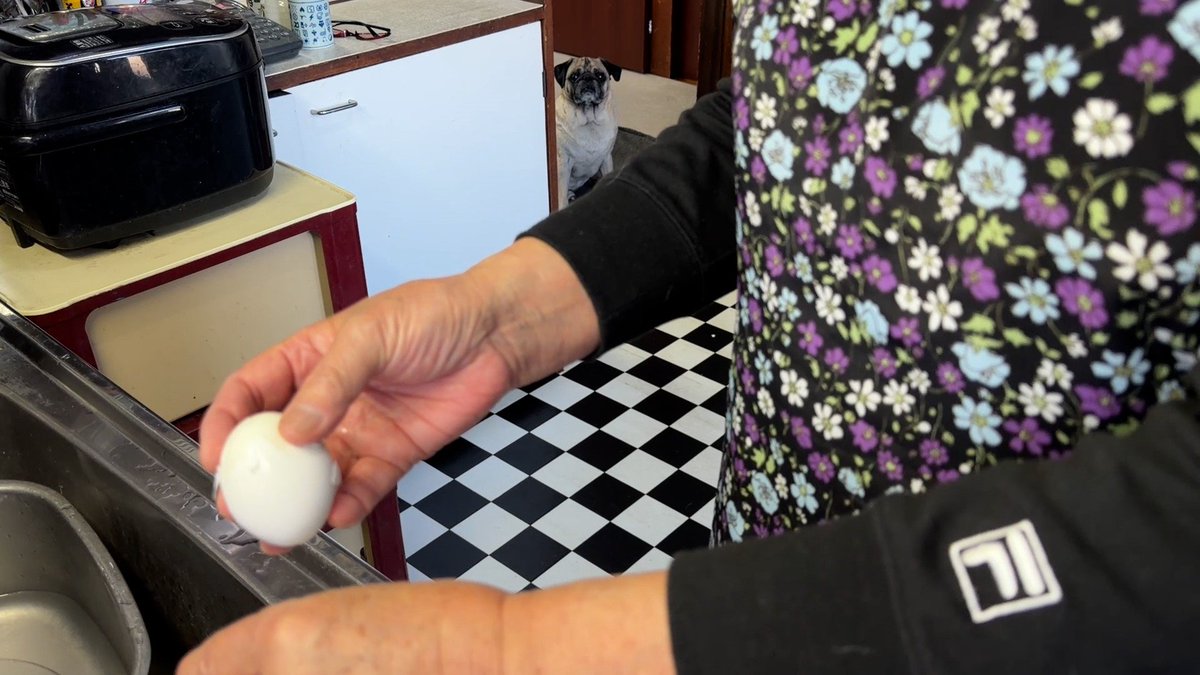 めざましテレビ tweet media