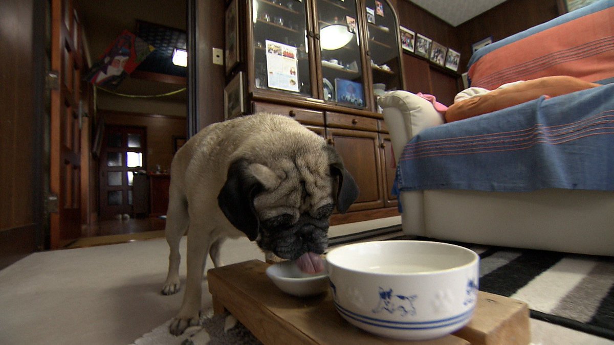 めざましテレビ tweet media