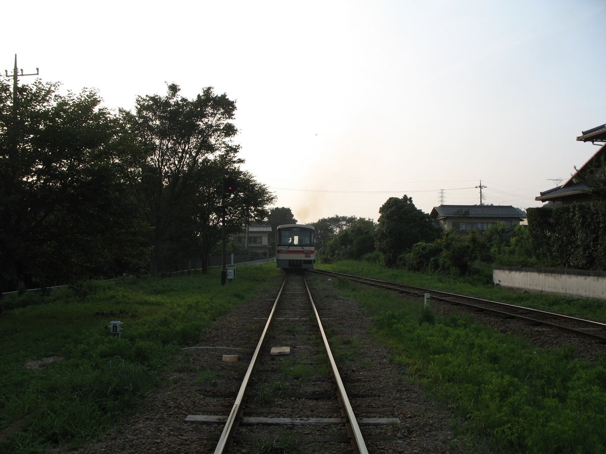 イソミ tweet media