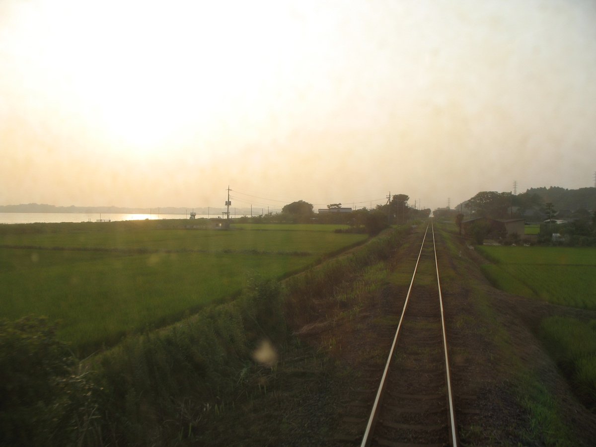 イソミ tweet media