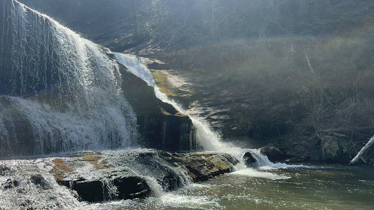 Tdell 🔑 tweet media