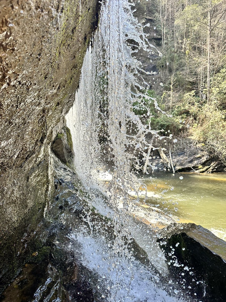 Tdell 🔑 tweet media