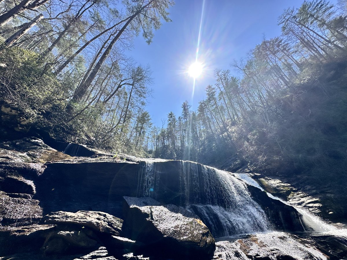 Tdell 🔑 tweet media