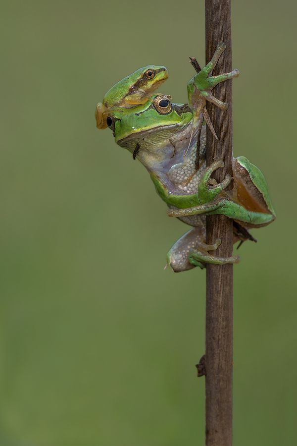 End Lay Offs tweet media