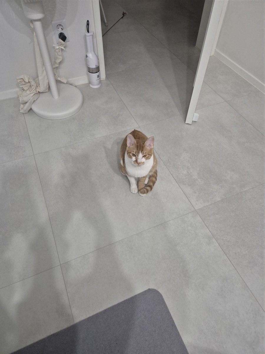 감자의 스타일기✨️ tweet media