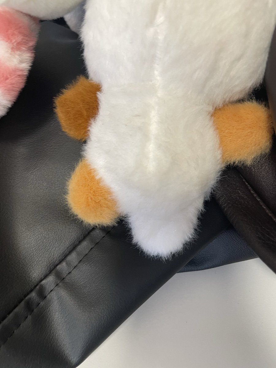 7th year: i🍄 tweet media