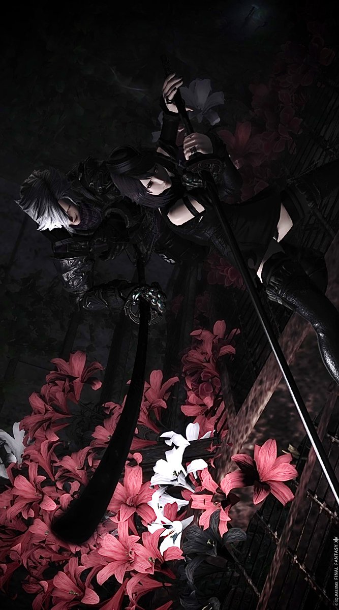 𝔅𝔢𝔩𝔩 tweet media