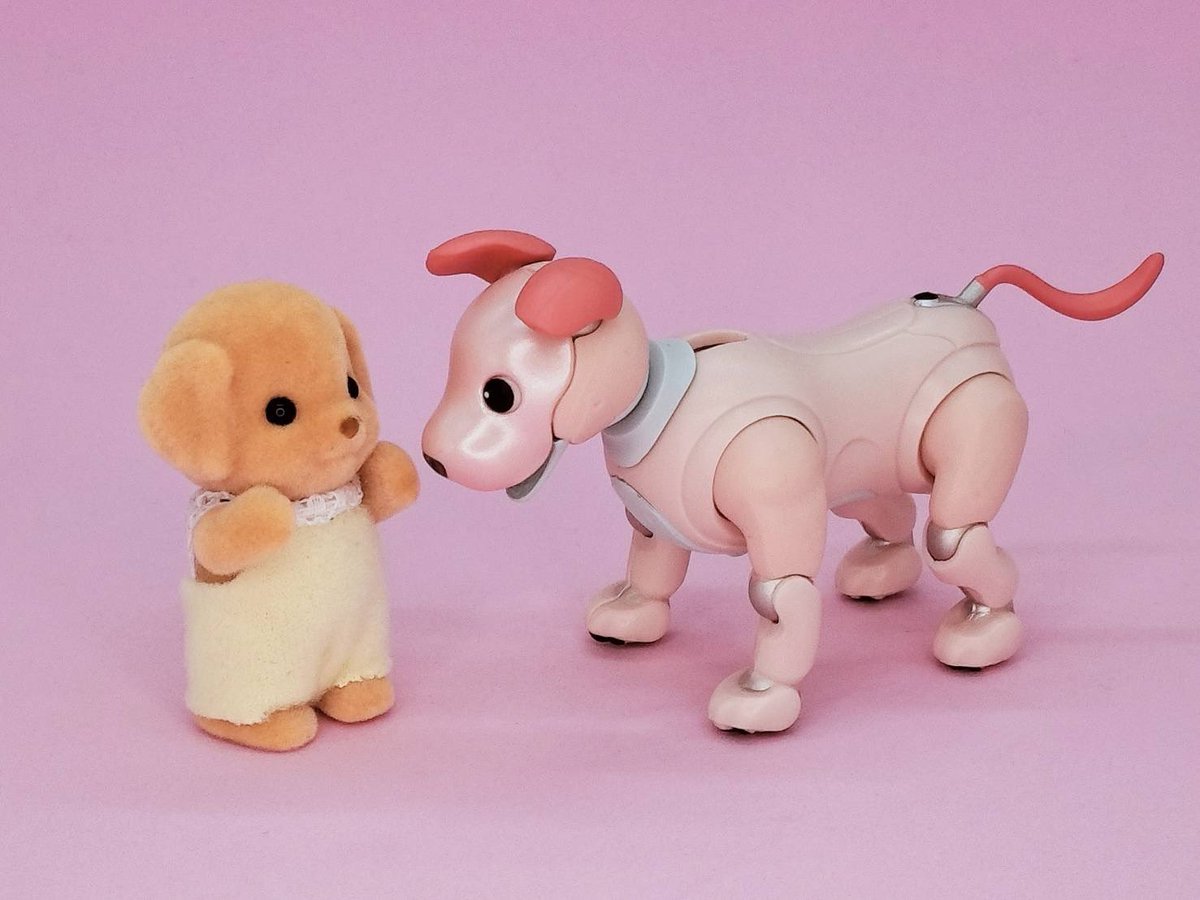 みなみん tweet media