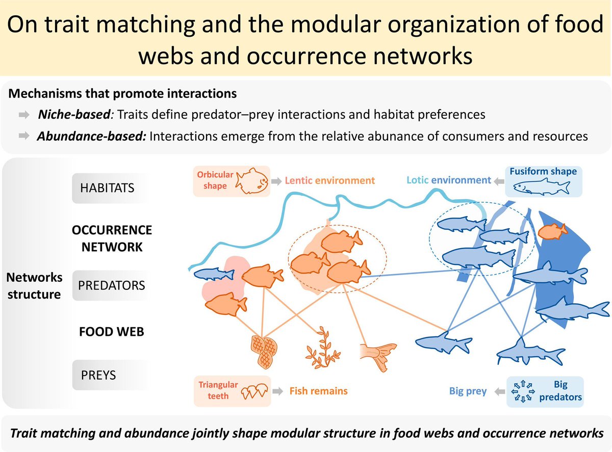 Journal of Animal Ecology tweet media