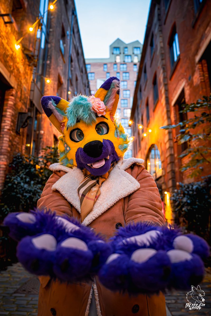 🌸Blazen🌸 🔜 CFz tweet media