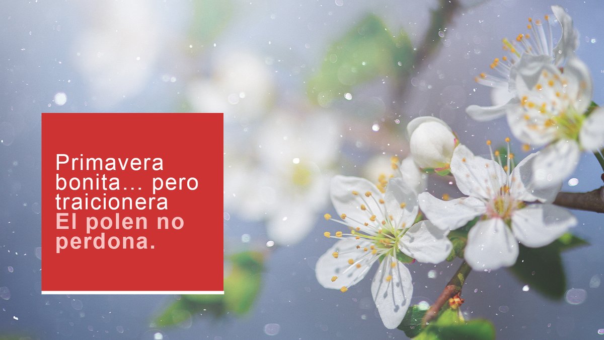 Línea Directa tweet media