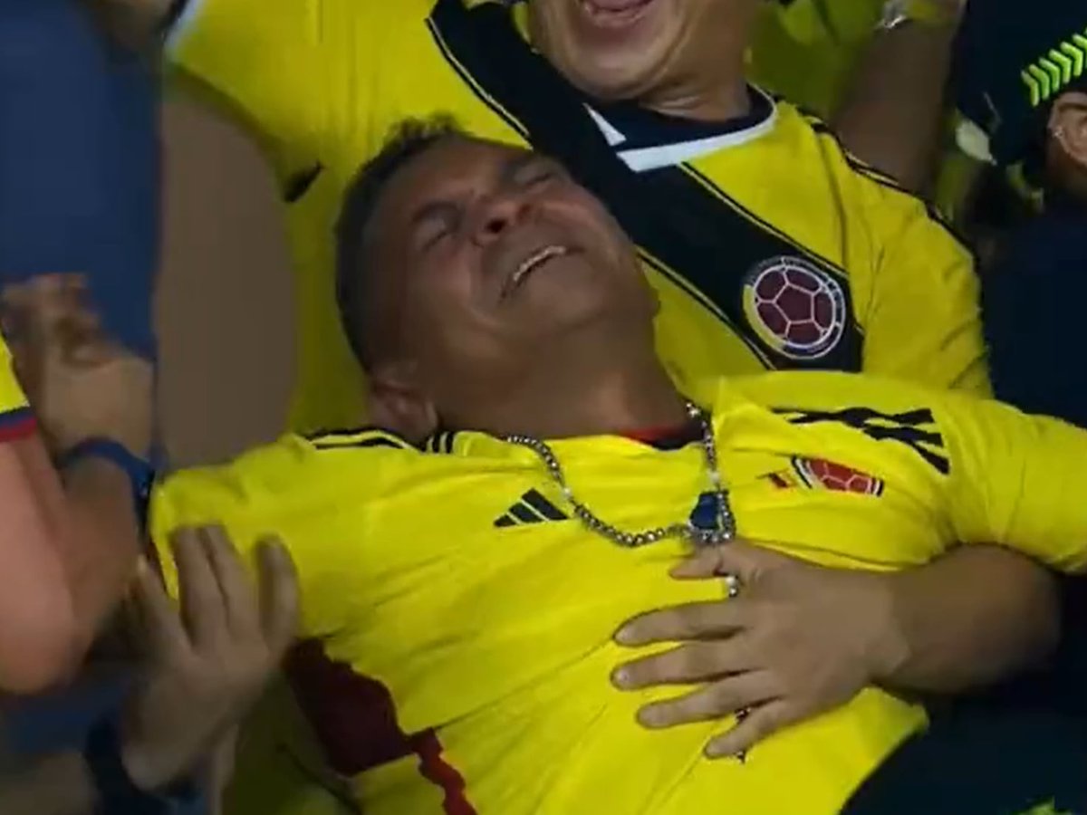 Intromertido. 🇨🇴 🕊 🏞🌿🦎 tweet media