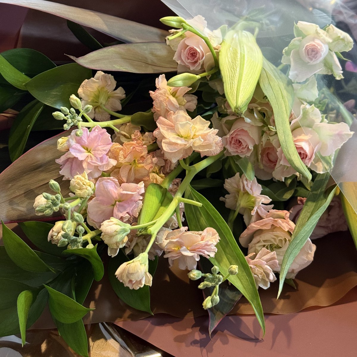 永瀨めぐみ@行政書士｜認定経営革新等支援機関 tweet media