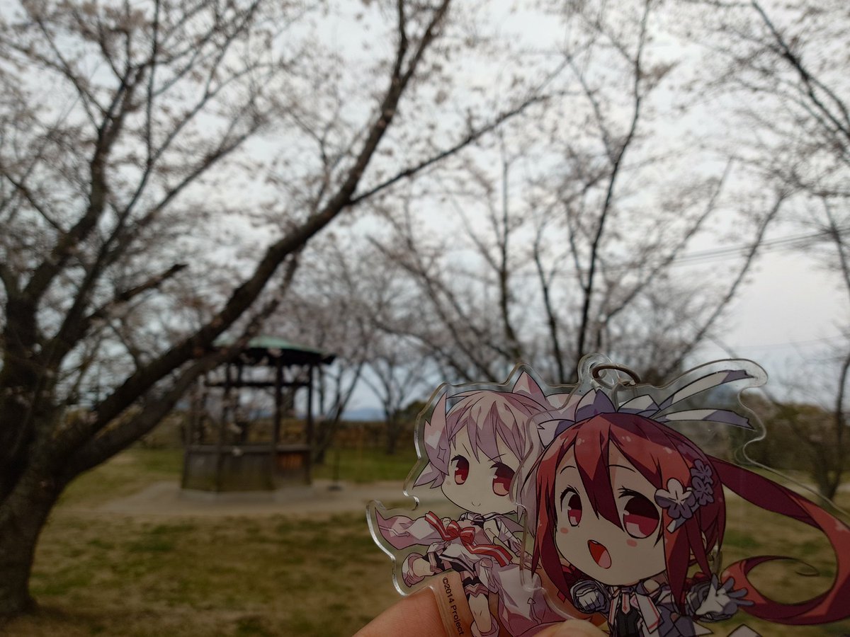 吉田すずメ🐦‍🔥 tweet media