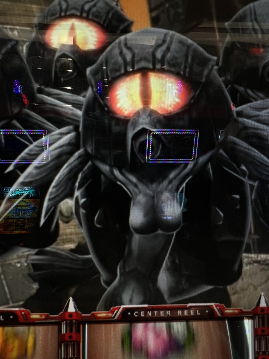 中条ひとみ💙🦭 tweet media