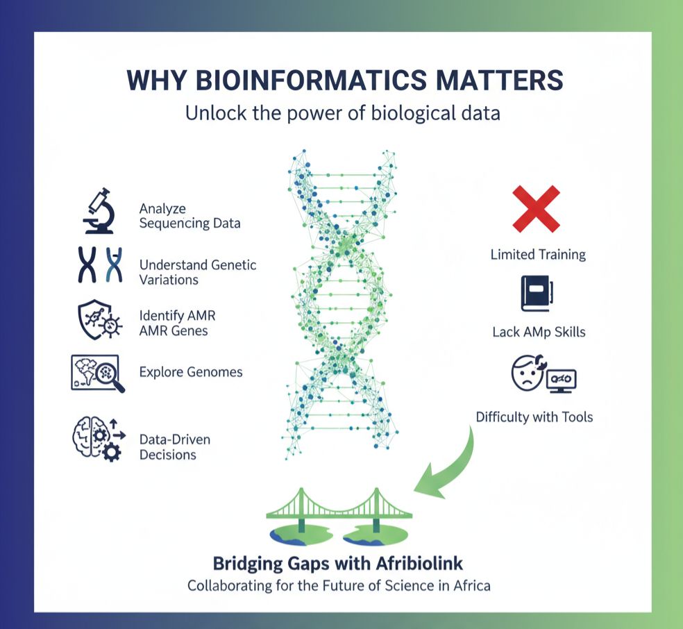 AfribiolinkS's tweet photo. Why Bioinformatics Matters 

Modern life science research is no longer complete without bioinformatics skills.

If you're interested in our collaborative initiative to bridge the gap, kindly reach out  @contact@afribiolink.com

Stay connected

#Afribiolink #GenomicsAfrica https://t.co/2AgPfoPG0U