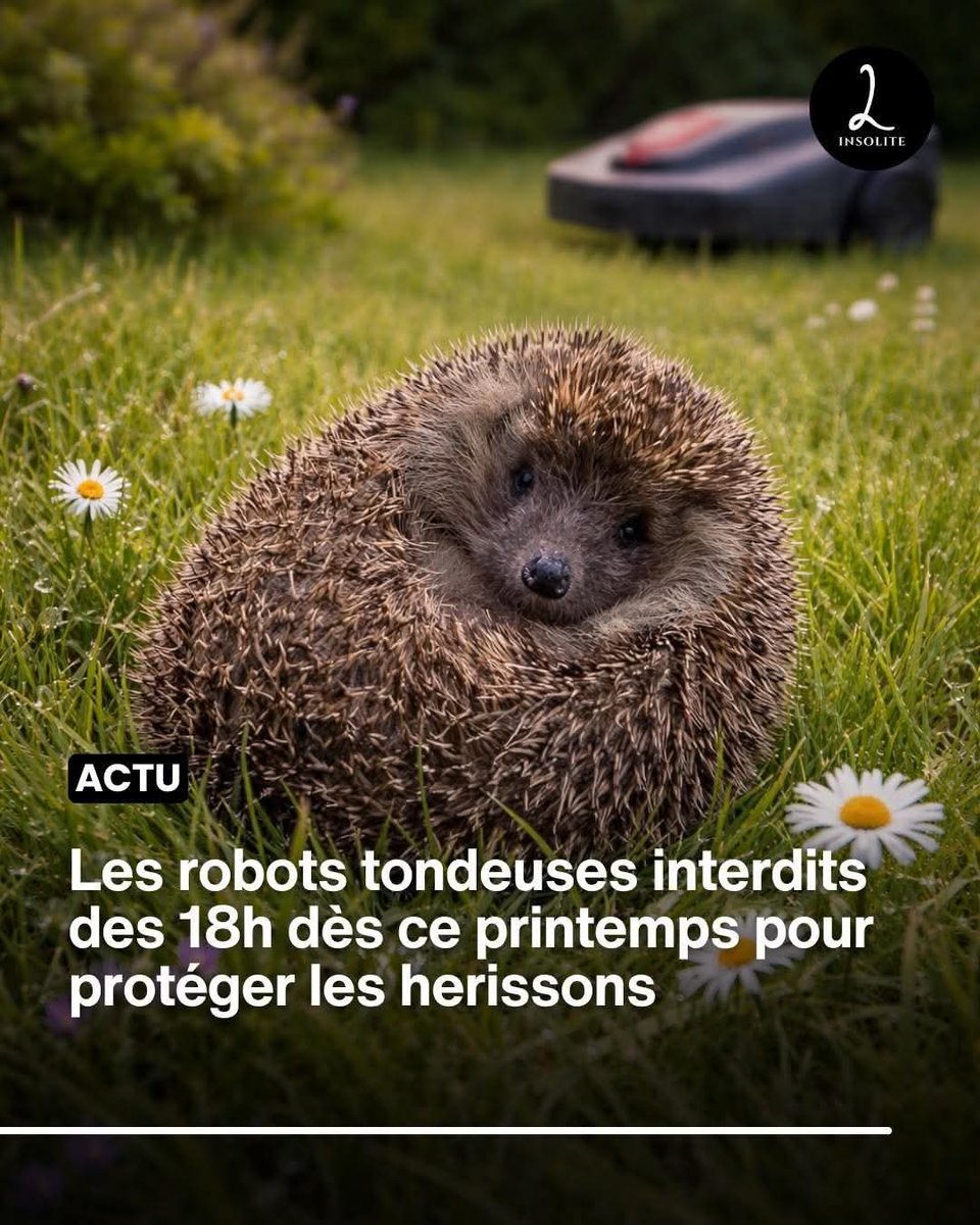 PERSONNEL tweet media