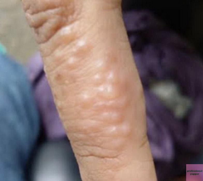 آيلا || Ayla tweet media