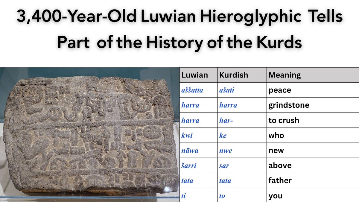 Soran Hamarash tweet media