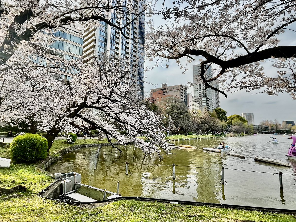 japantotheworld.com tweet media