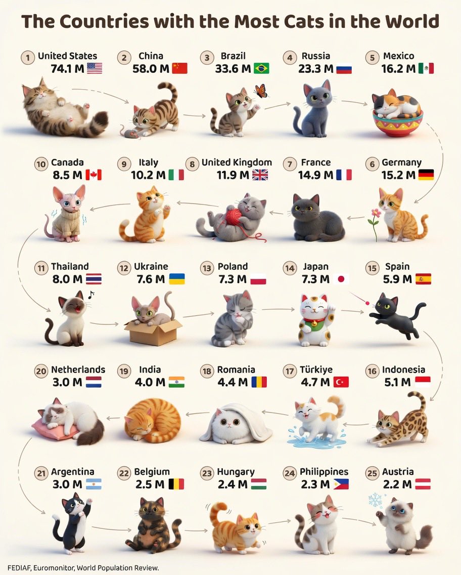 Cata Paul 🃏 tweet media