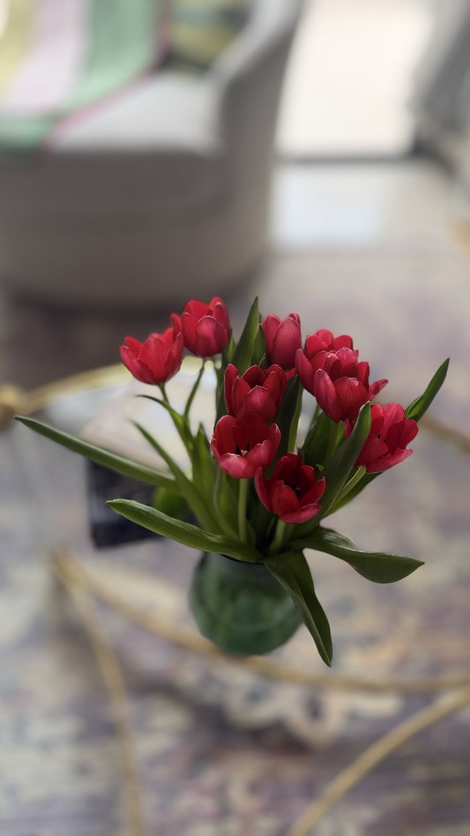 🪽 روحــ .. tweet media