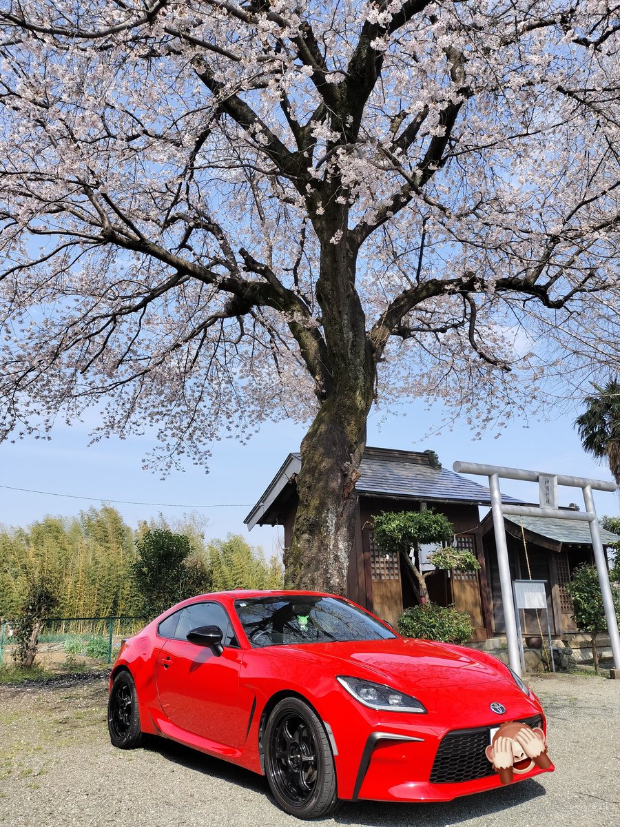 TARO dbd tweet media