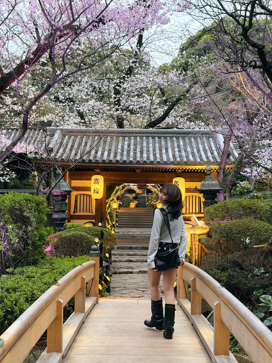 UNIS_offcl's tweet photo. 꽃 보러 가자 🌸

#UNIS #유니스 
#HYEONJU #진현주 https://t.co/LE2tywlA0I
