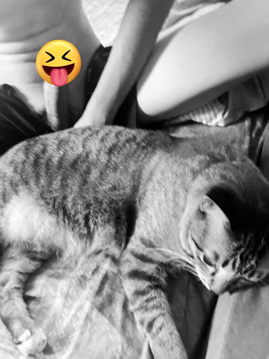 me a rai pa tweet media