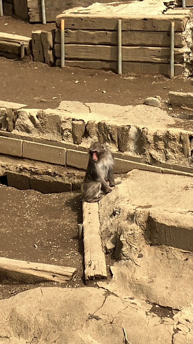 すえひろがり tweet media