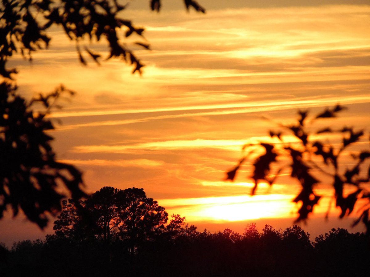 JIGEARTCOLOR tweet media