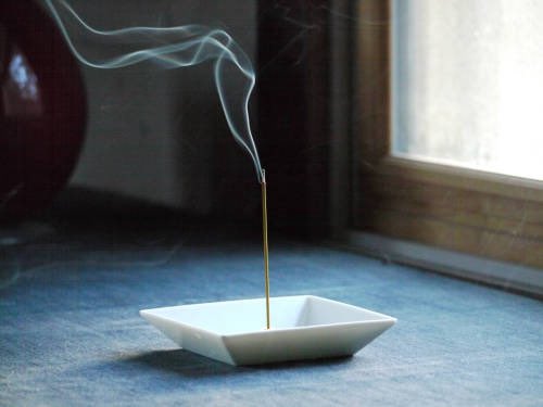 The Dutch Doge Guy 🐕 tweet media