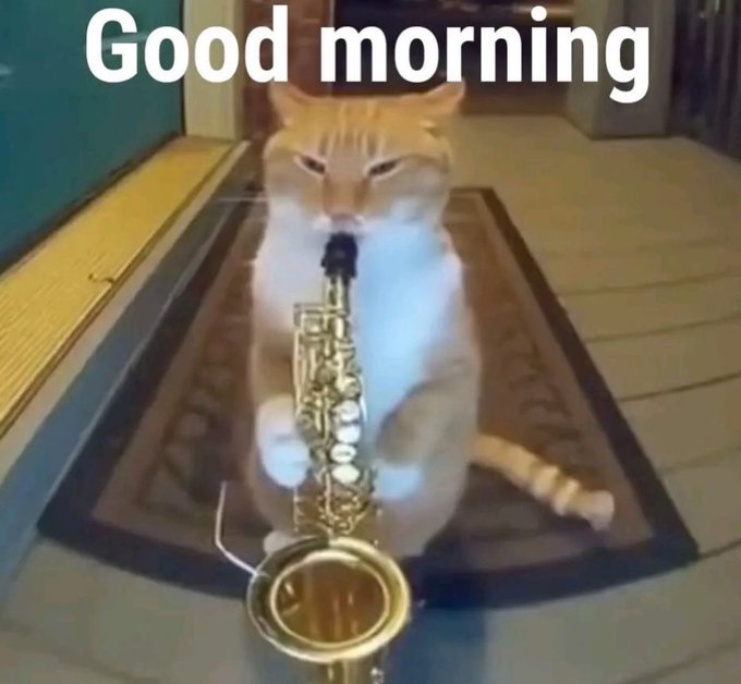 𝐄𝐦𝐳𝐚 ☩❤️🔥 tweet media