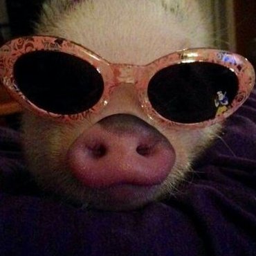🐽มุ๋น้องเร้ก ฮะ tweet media
