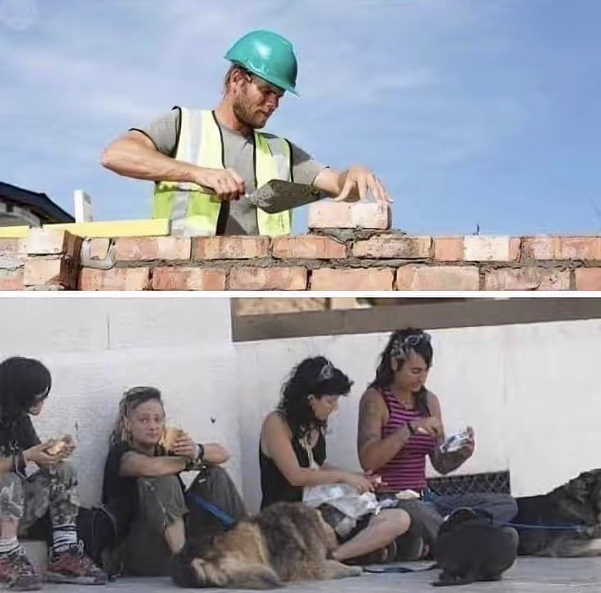 Muy.Mona/🇪🇸💚 tweet media