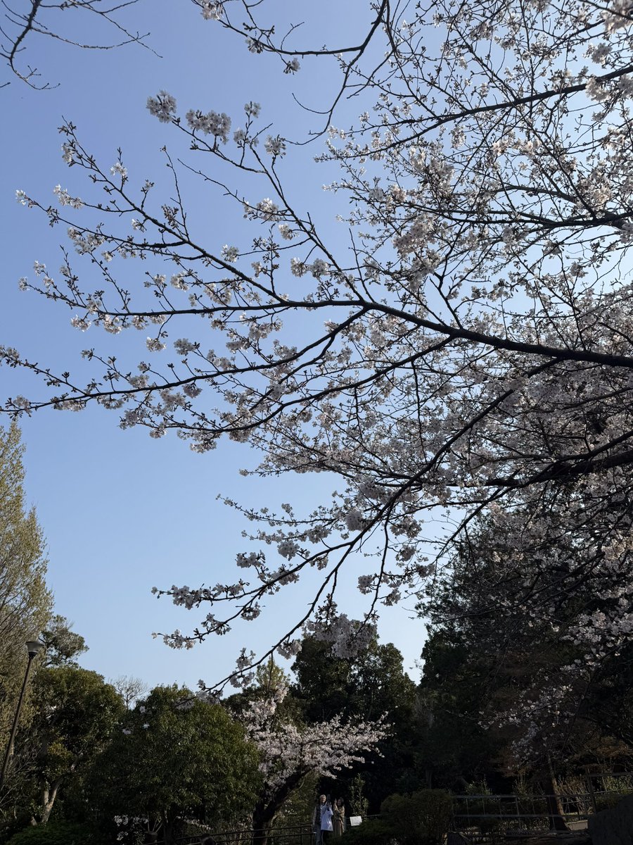 六畳幽奈 tweet media