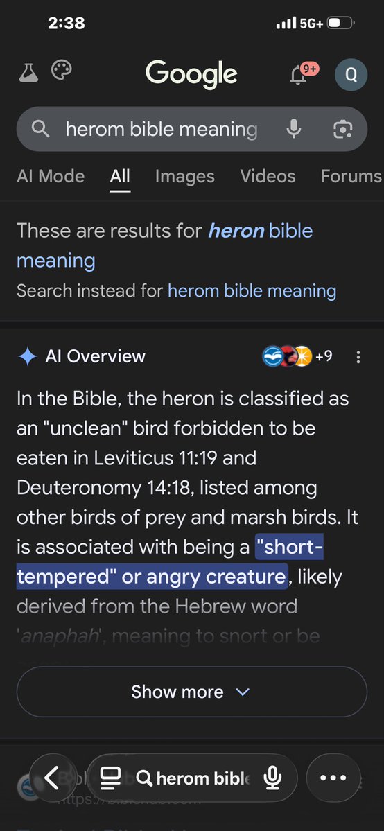 BABY MARLEY#5 tweet media