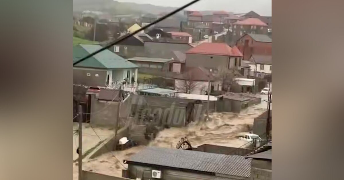 Игры маразума. пЁрлы. tweet media