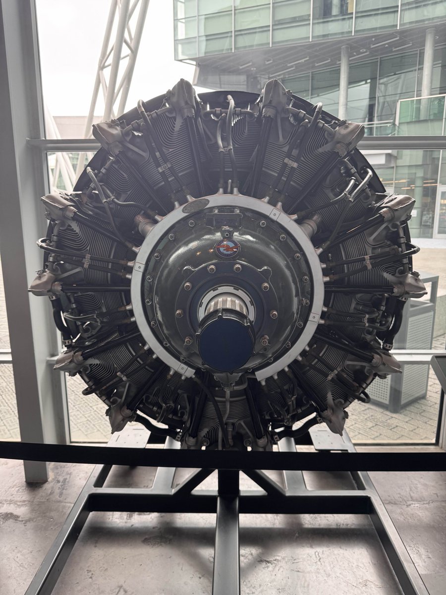 martin is alive tweet media