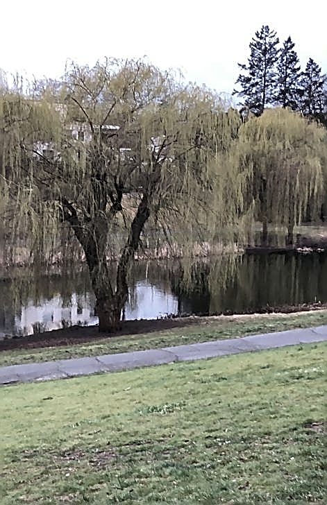 Fit Kate tweet media