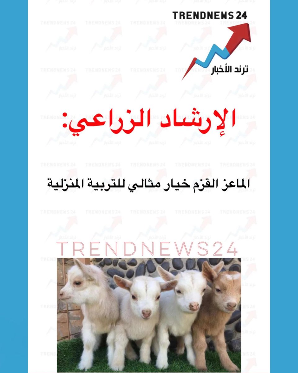 Trendnews24 | ترند الأخبار tweet media