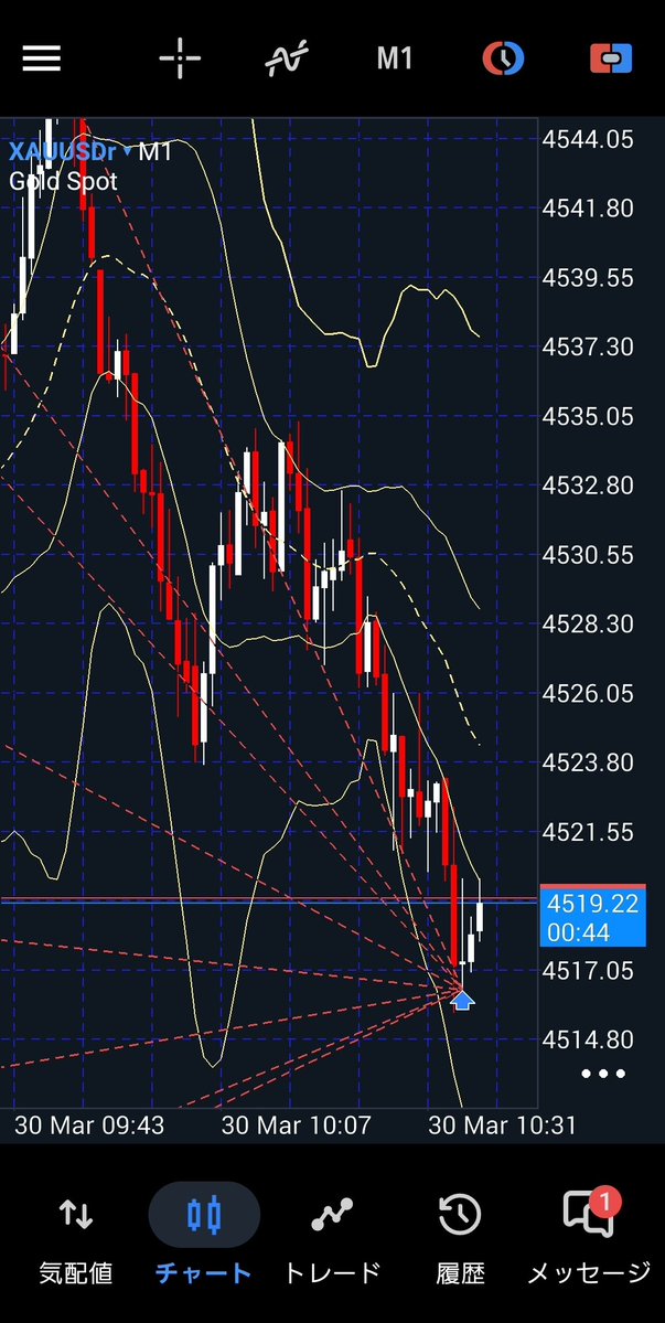neko🐱@💕 tweet media