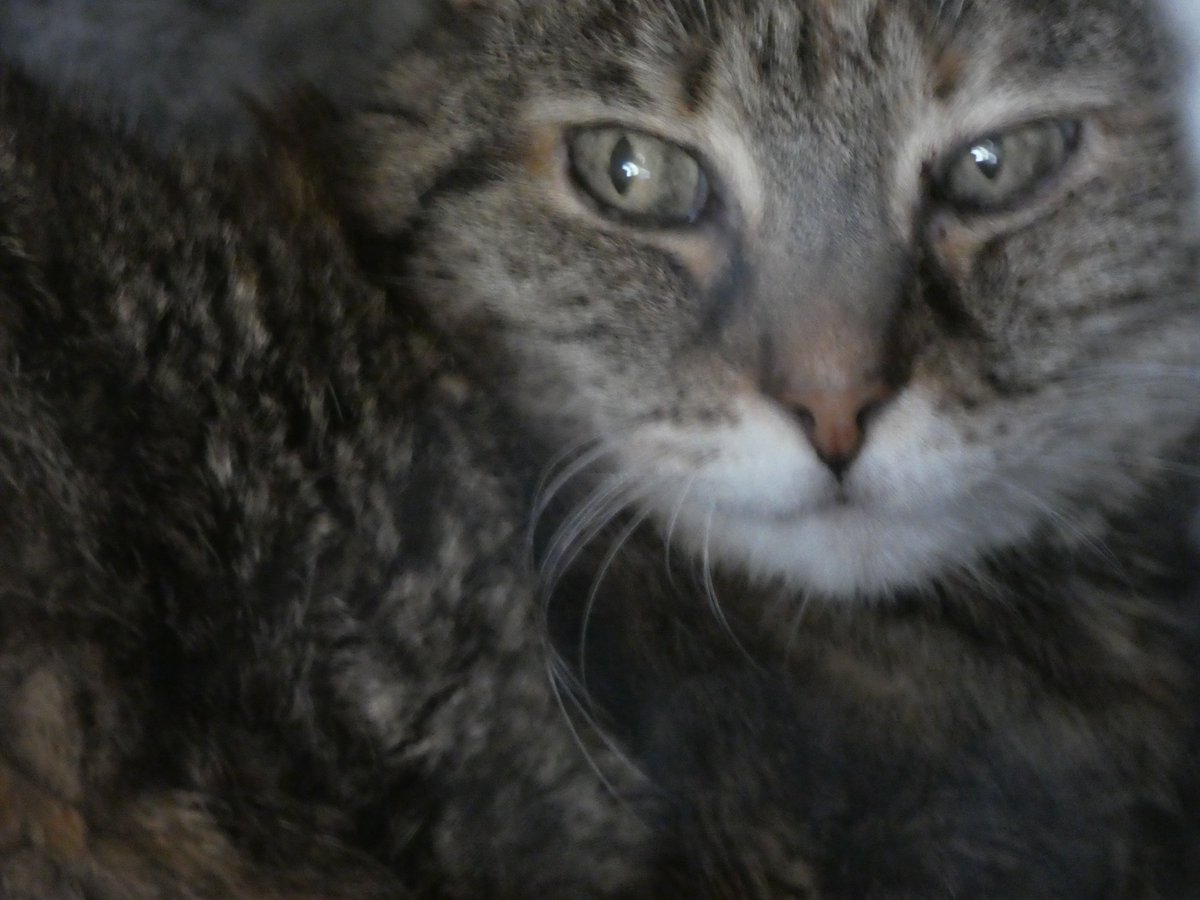 Beat Stocker tweet media