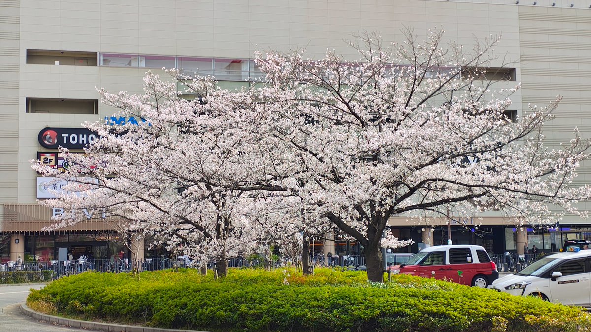 ㋛㋯㋜”㋛ tweet media