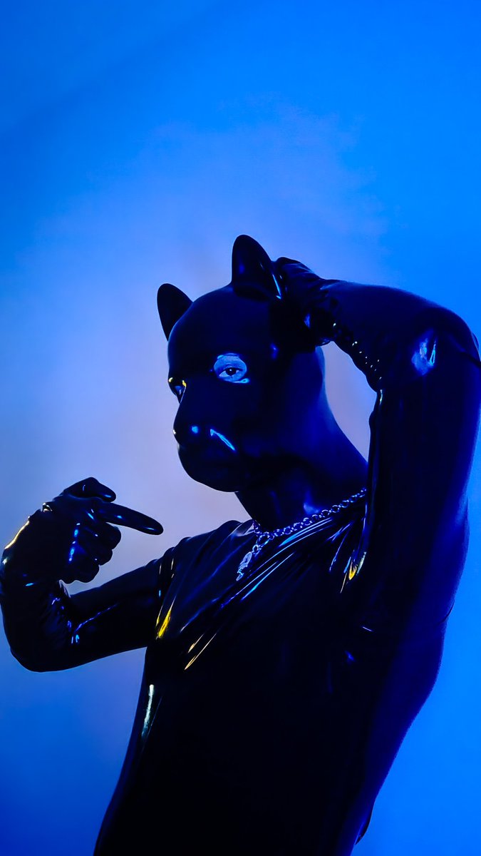 Pup boxer tweet media