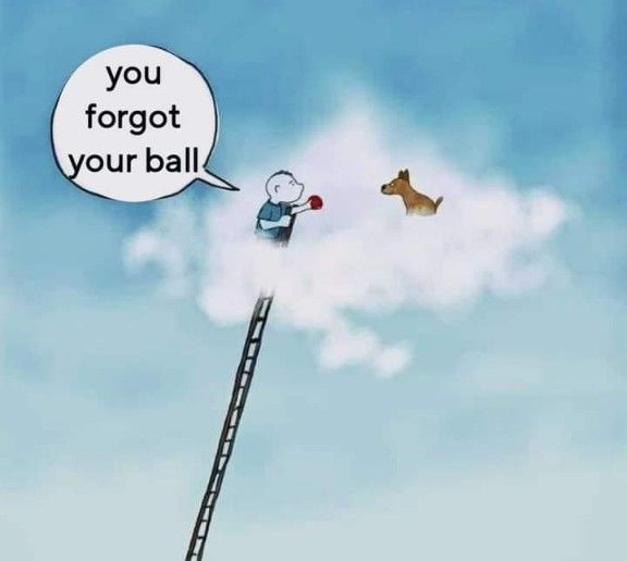 Dog Lovers tweet media