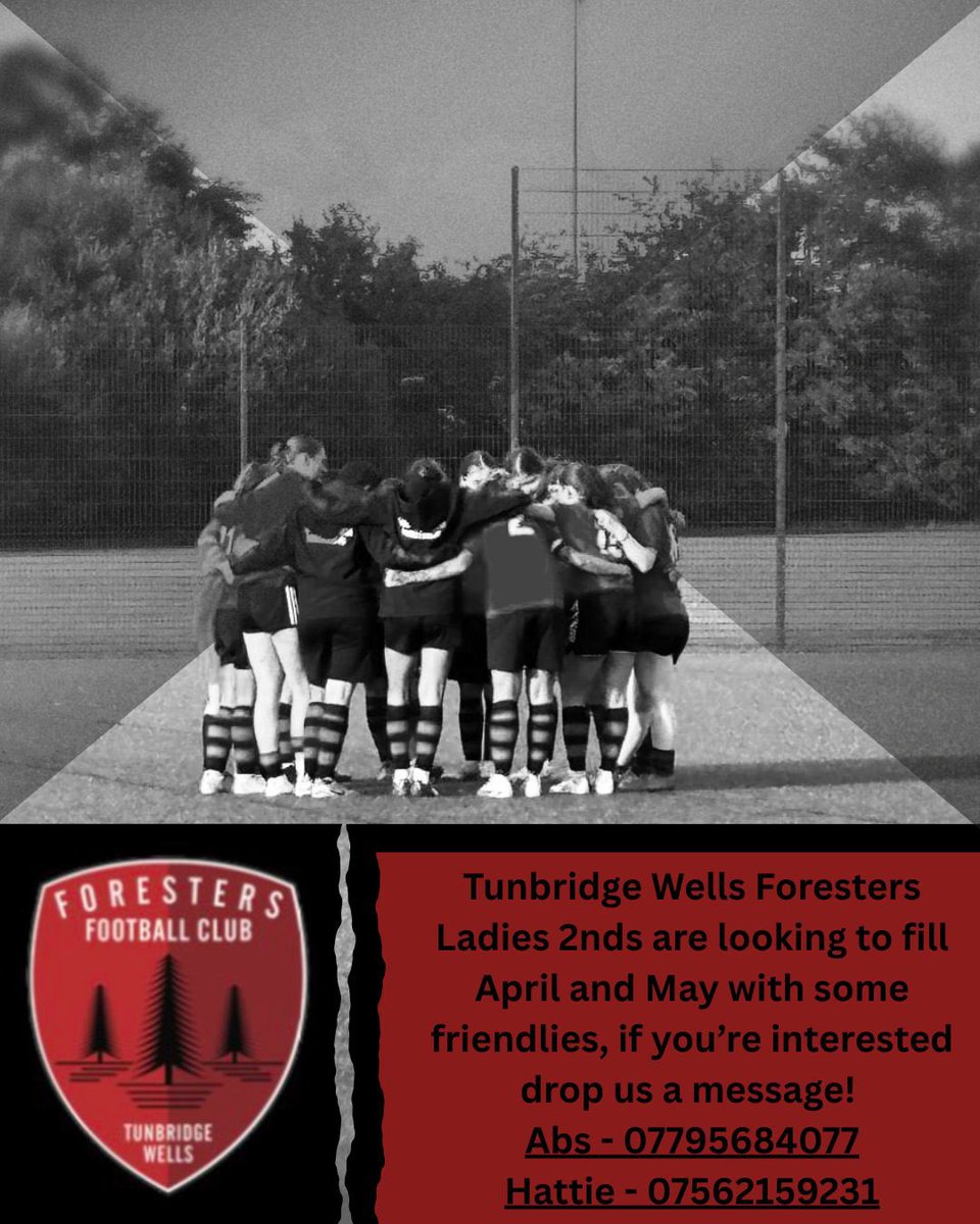 TW Foresters Ladies 2nd XI tweet media